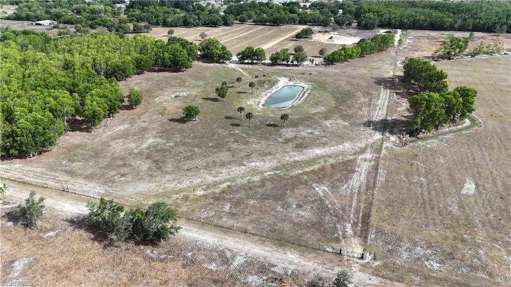17341 Balfour Ter Property Photo 3