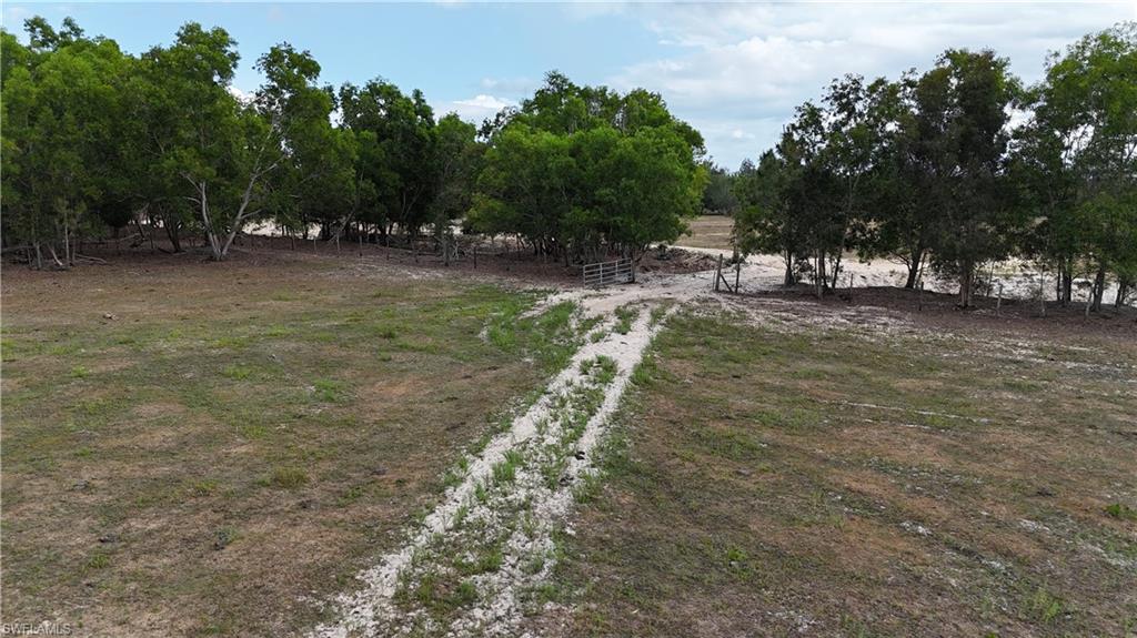 17341 Balfour Ter Property Photo 16