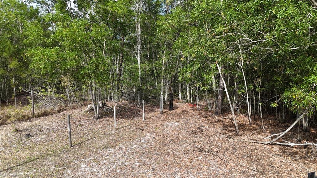 17341 Balfour Ter Property Photo 22