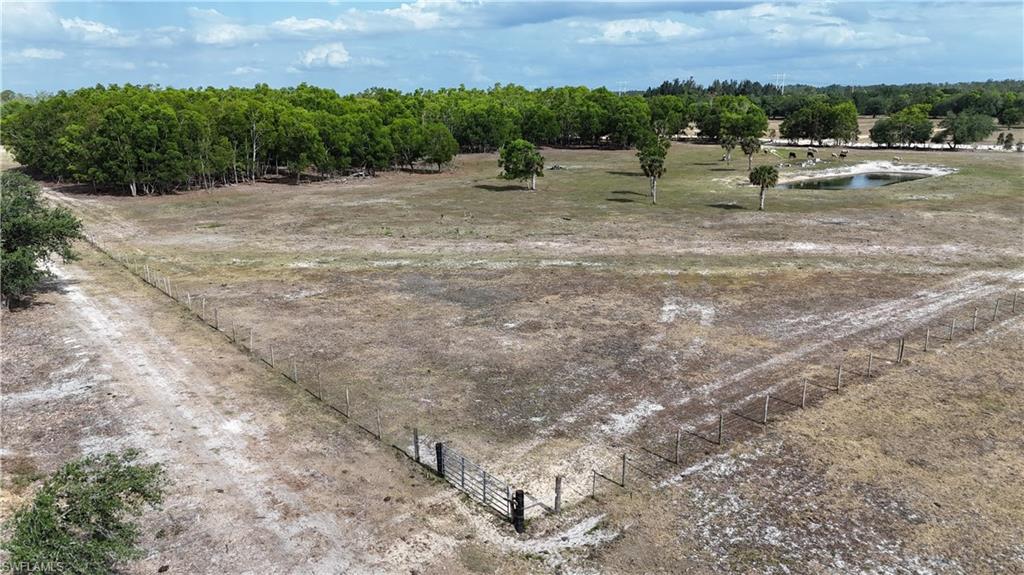 17341 Balfour Ter Property Photo 24