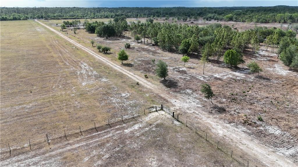 17341 Balfour Ter Property Photo 26