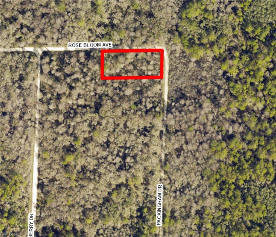 33464 Packingham Dr Property Photo 1