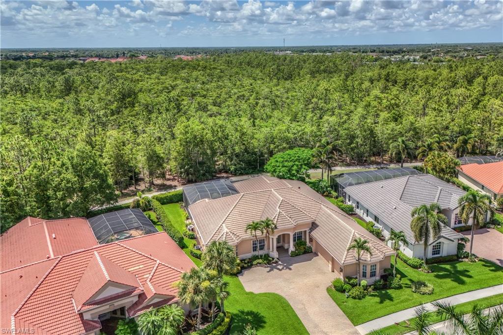 7488 Treeline Dr Property Photo 24