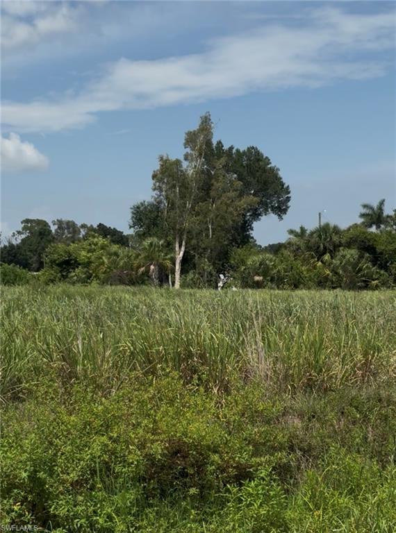 2536 N Tamiami Trl Property Photo 7