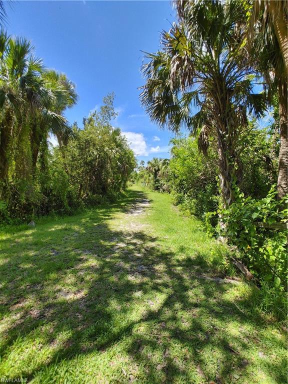 17091 Laurelin Ct Property Photo 37