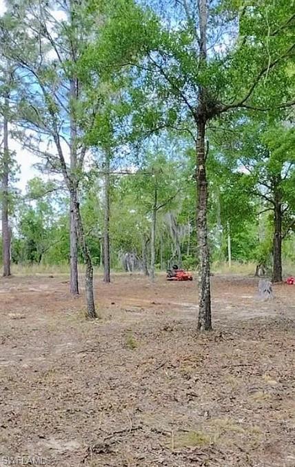 105 Sandpiper Dr Property Photo 3