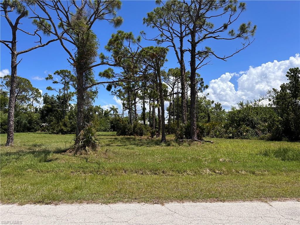 3728 Mango ST Property Photo 1