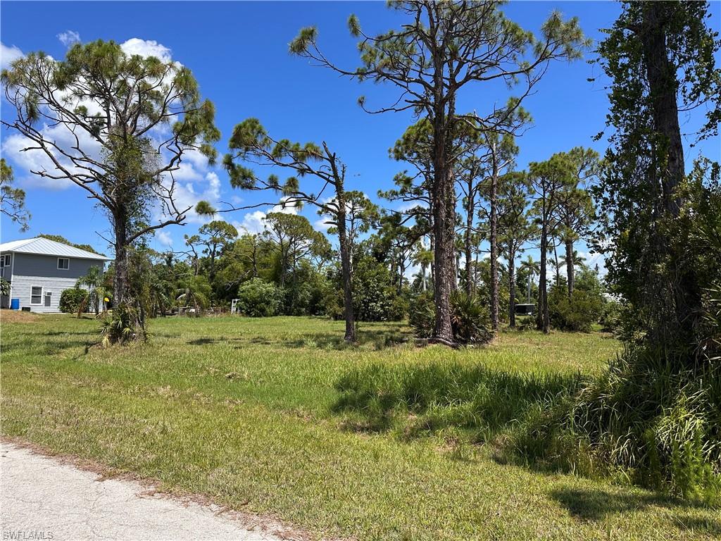 3728 Mango St Property Photo 2