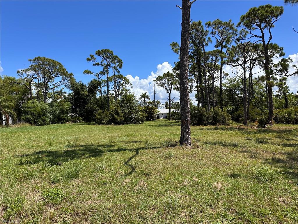 3728 Mango St Property Photo 3