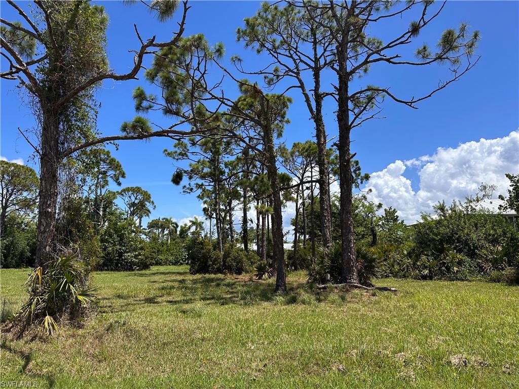 3728 Mango St Property Photo 5