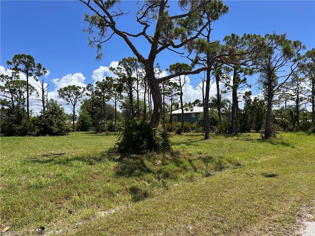 3728 Mango St Property Photo 7