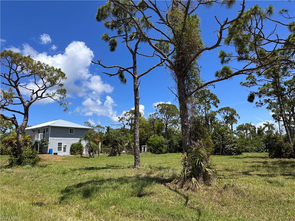3728 Mango St Property Photo 8