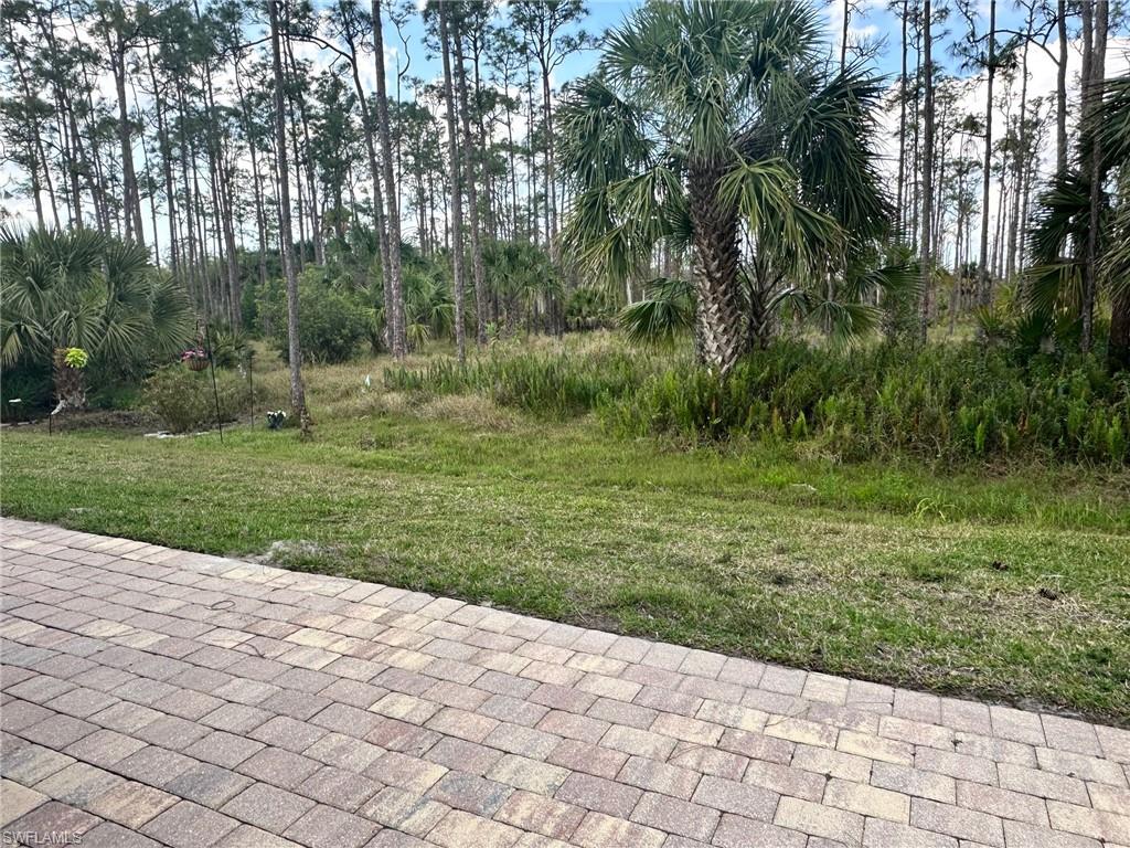1232 Diamond Lake Cir Property Photo 6