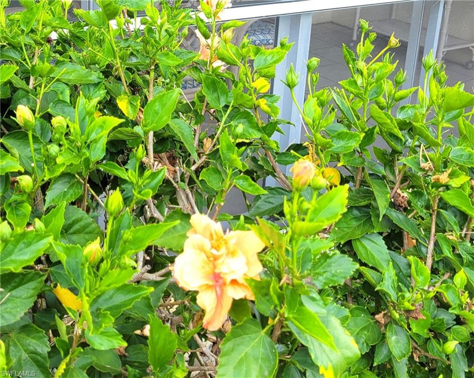 401 Charlemagne Blvd # C112 Property Photo 4