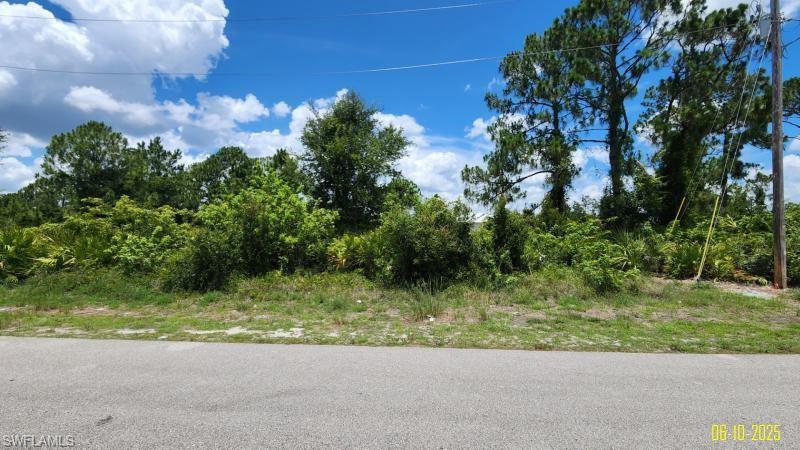 1133 Barfield St E Property Photo 3