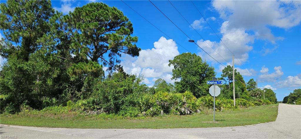 1272 Burbeck St Property Photo 4