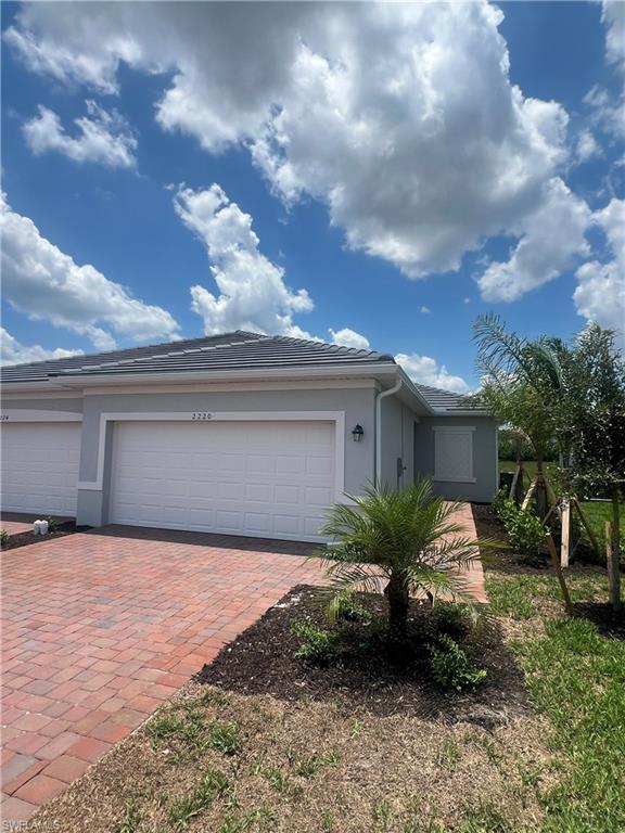 2220 Dragonfruit WAY