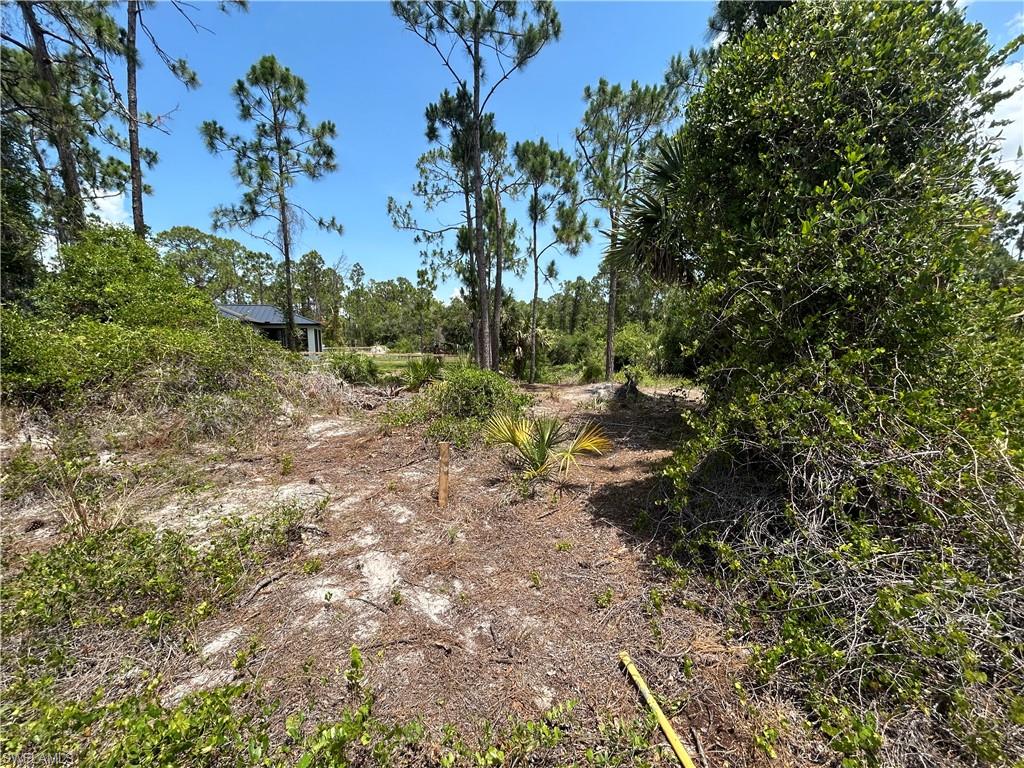 13334 Sulky DR Property Photo 1