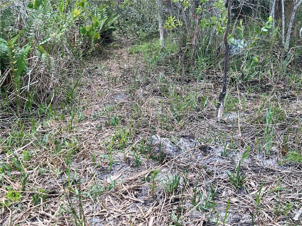 21061 Granville Rd Property Photo 8