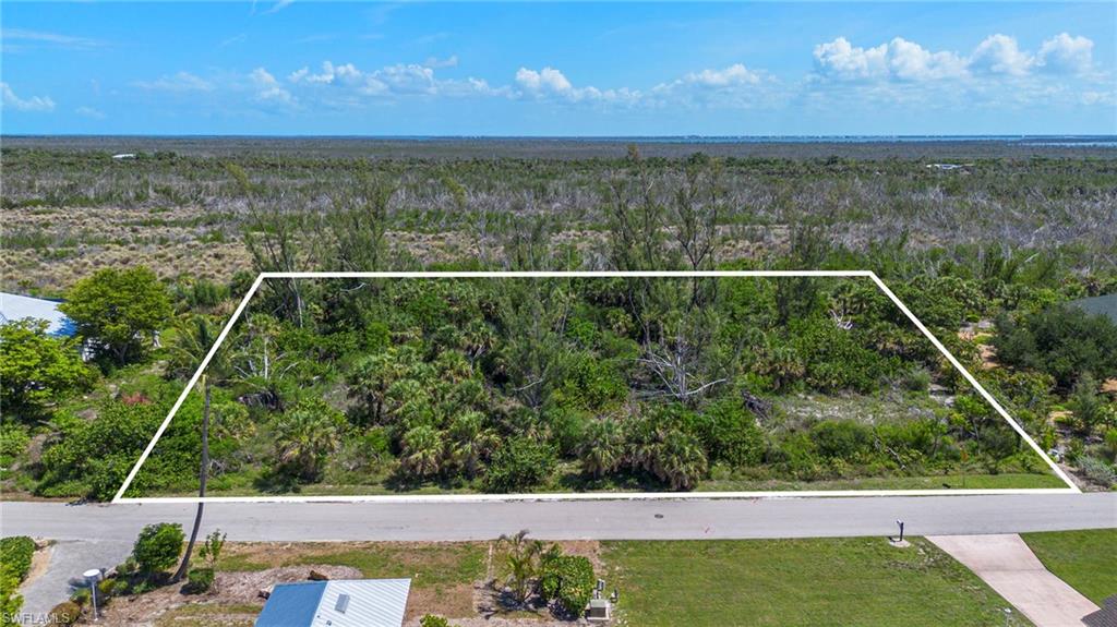 554 Lake Murex Cir Property Photo 3