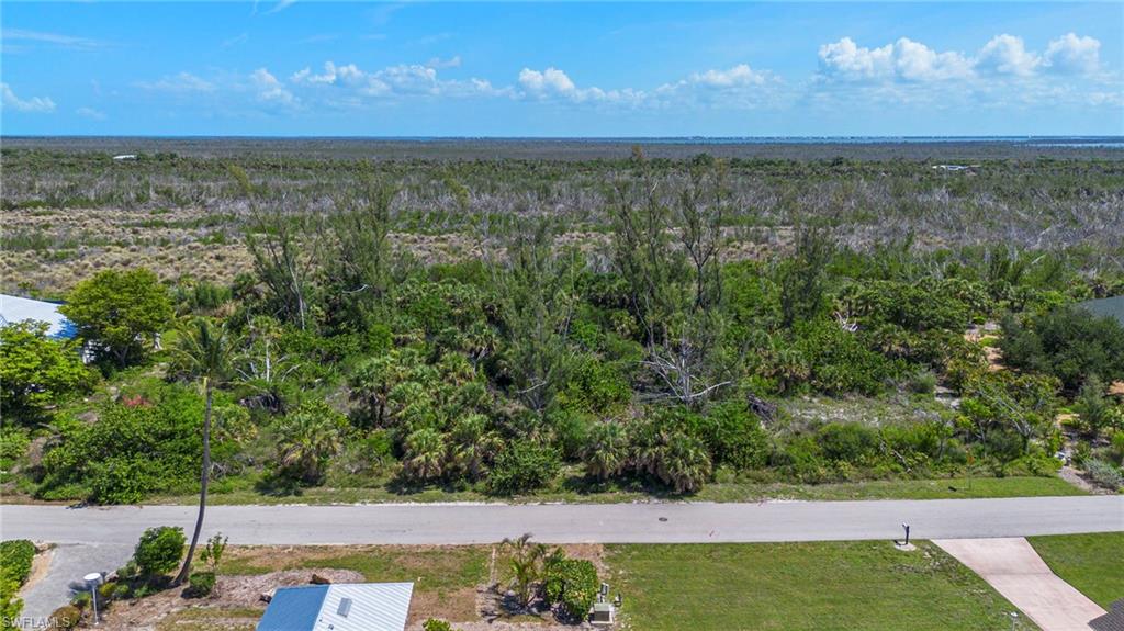 554 Lake Murex Cir Property Photo 22
