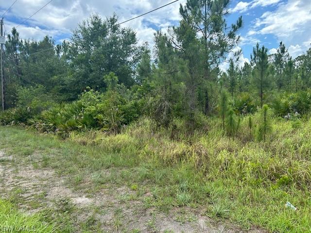 921 Robert Ave Property Photo 2