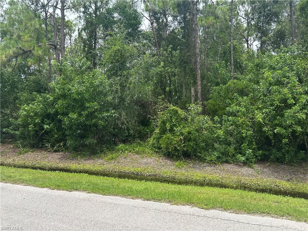 24032 Dietz Dr Property Photo 4