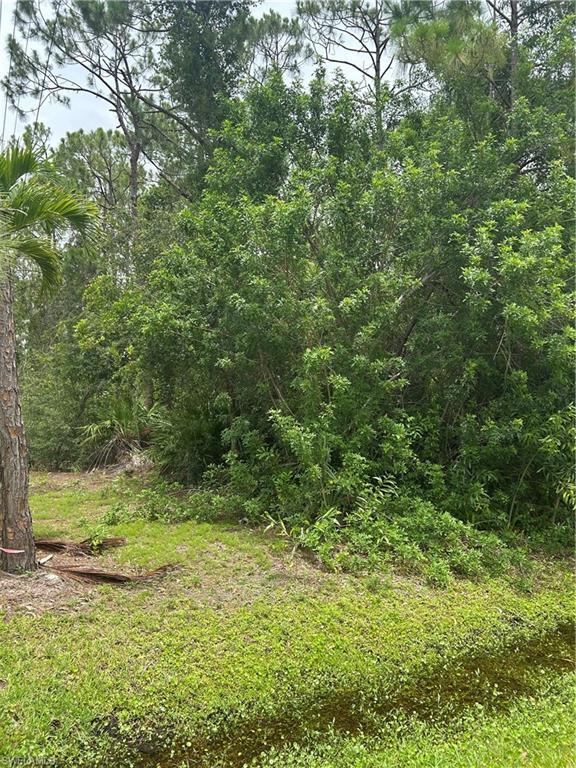 24032 Dietz Dr Property Photo 6