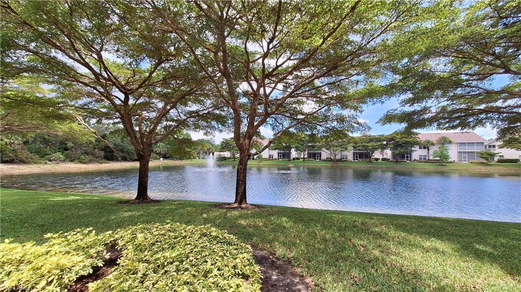 5630 Sherborn Dr # 101 Property Photo 3