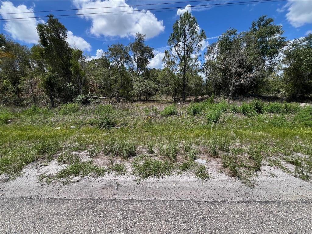 2617 52 St Sw Property Photo 5