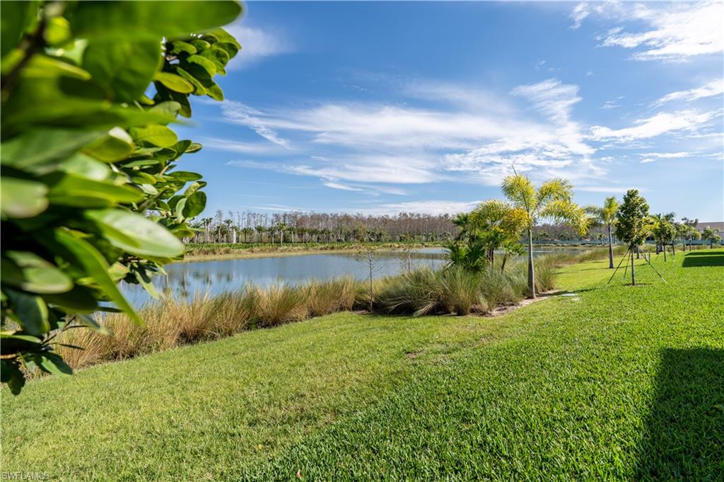 20123 Camellia Crosse Ln Property Photo 43