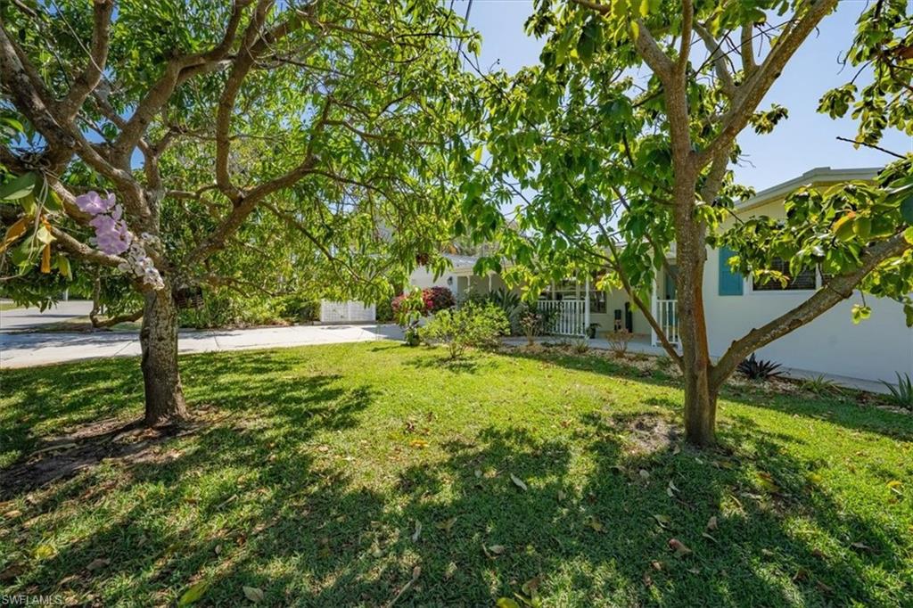 27301-27305 Johnson St Property Photo 4