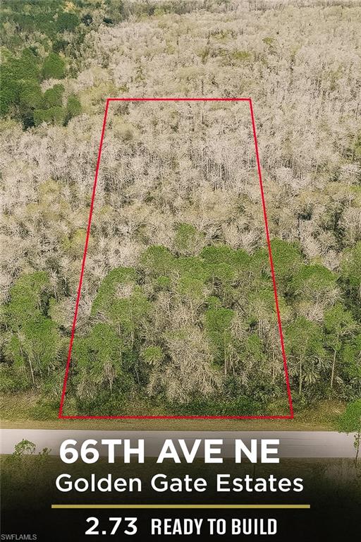 2780 66th Ave Ne Property Photo 1