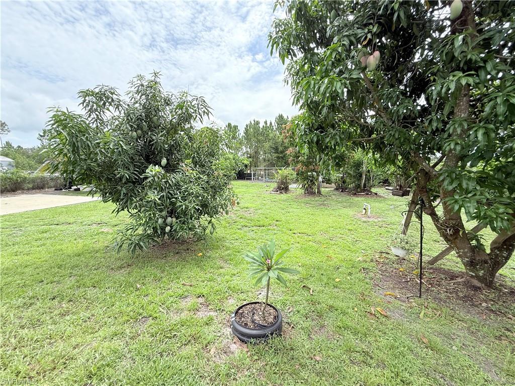 910 Greenwood Ave Property Photo 38
