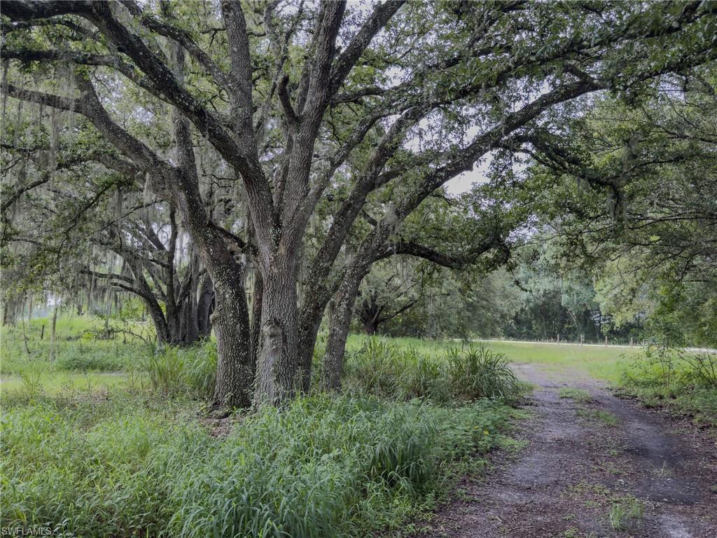 4932 Loblolly Bay Rd Property Photo 4