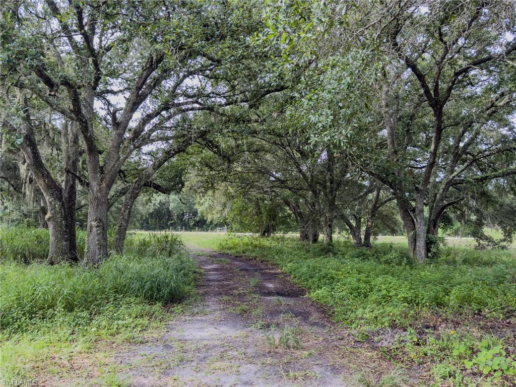 4932 Loblolly Bay Rd Property Photo 5