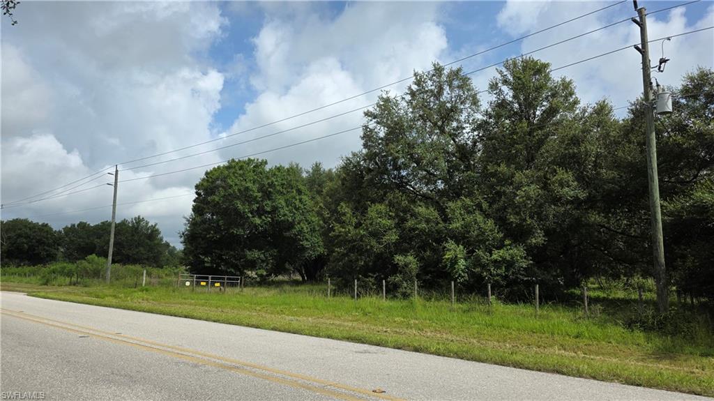 4932 Loblolly Bay Rd Property Photo 6
