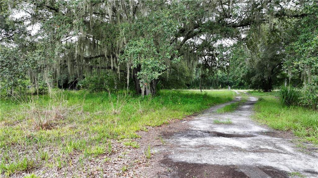 4932 Loblolly Bay Rd Property Photo 9