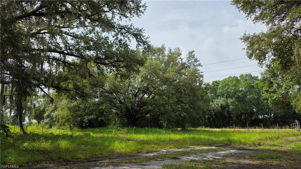 4932 Loblolly Bay Rd Property Photo 13