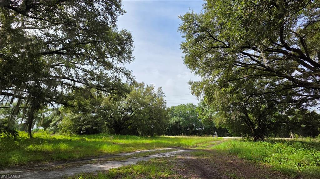 4932 Loblolly Bay Rd Property Photo 14