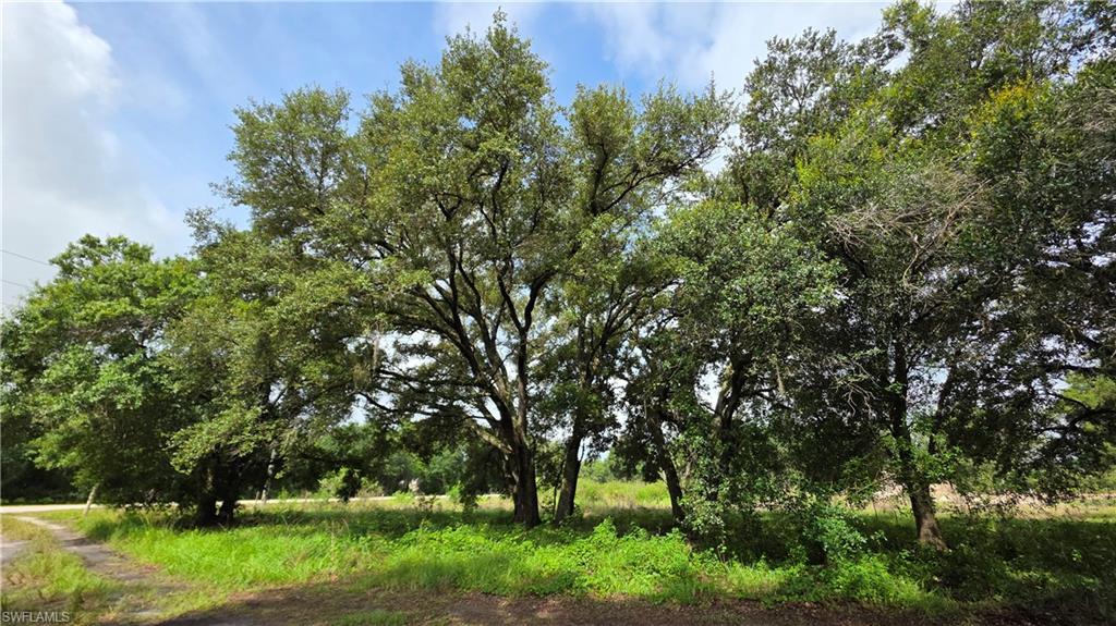 4932 Loblolly Bay Rd Property Photo 15