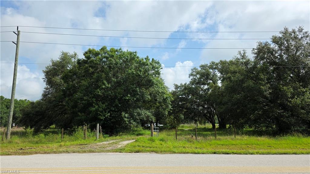 4932 Loblolly Bay Rd Property Photo 16