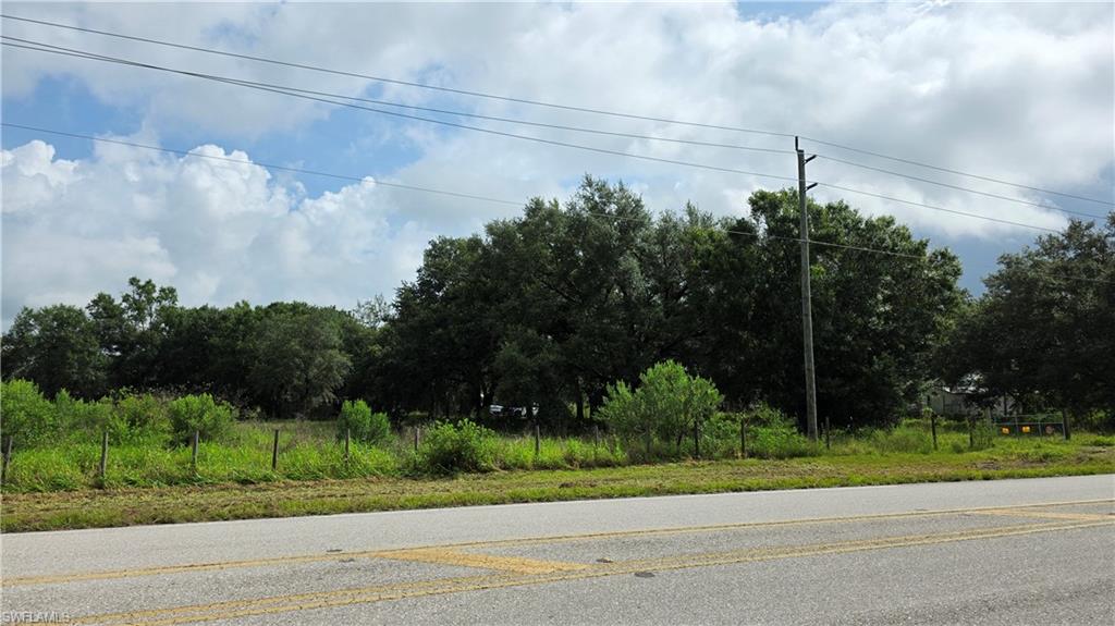 4932 Loblolly Bay Rd Property Photo 19
