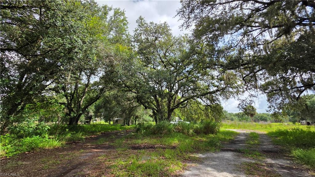 4932 Loblolly Bay Rd Property Photo 20