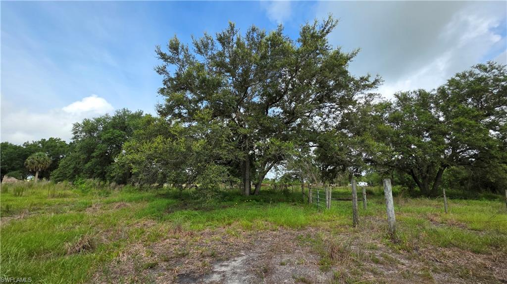4932 Loblolly Bay Rd Property Photo 23
