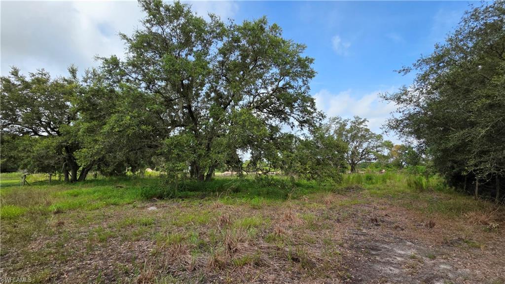 4932 Loblolly Bay Rd Property Photo 27