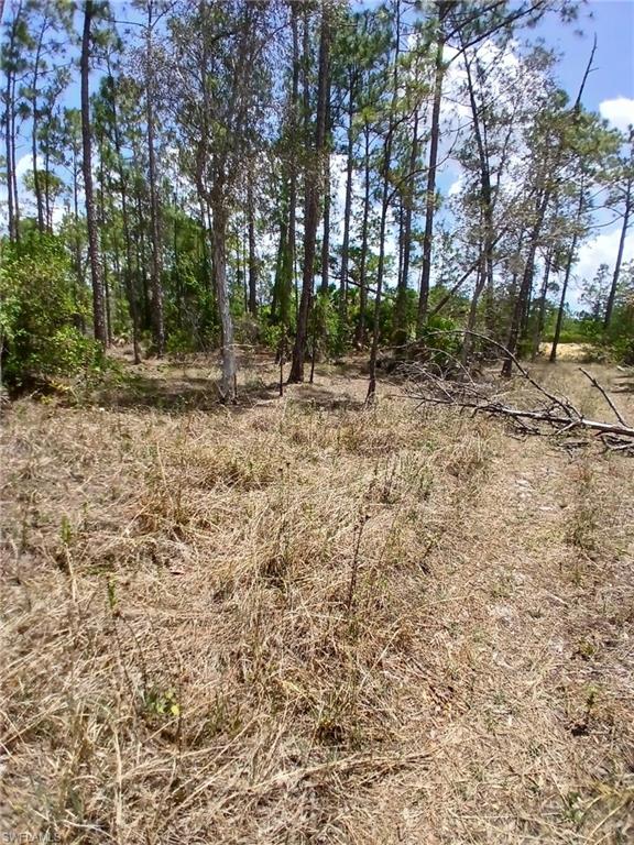 2142 Winnetka Dr Property Photo 2