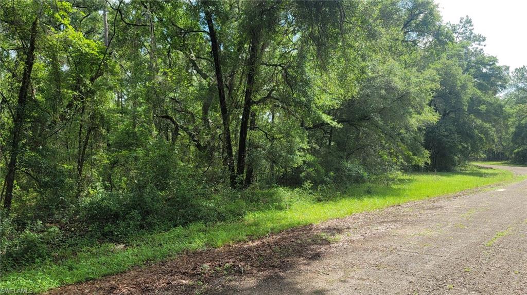 373 E Avondale Dr E Property Photo 1