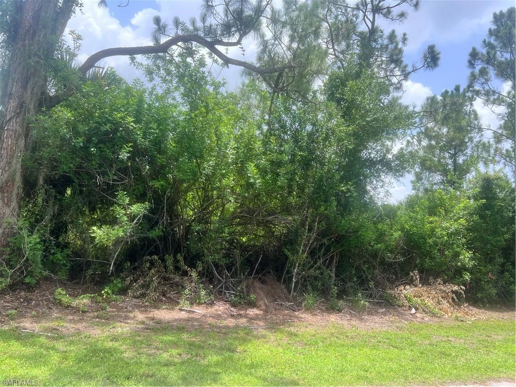 6020 Juliet Ave Property Photo 2