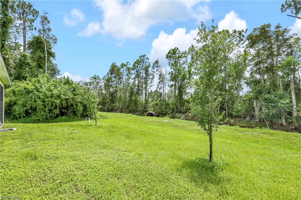 1131 Alvin Ave Property Photo 27